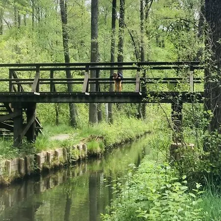 Villa Spreewaldhaus Raddusch, Boote- Fahrraeder Gratis Exterior foto